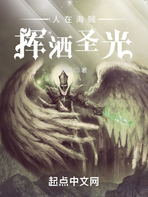 人在海贼,挥洒圣光