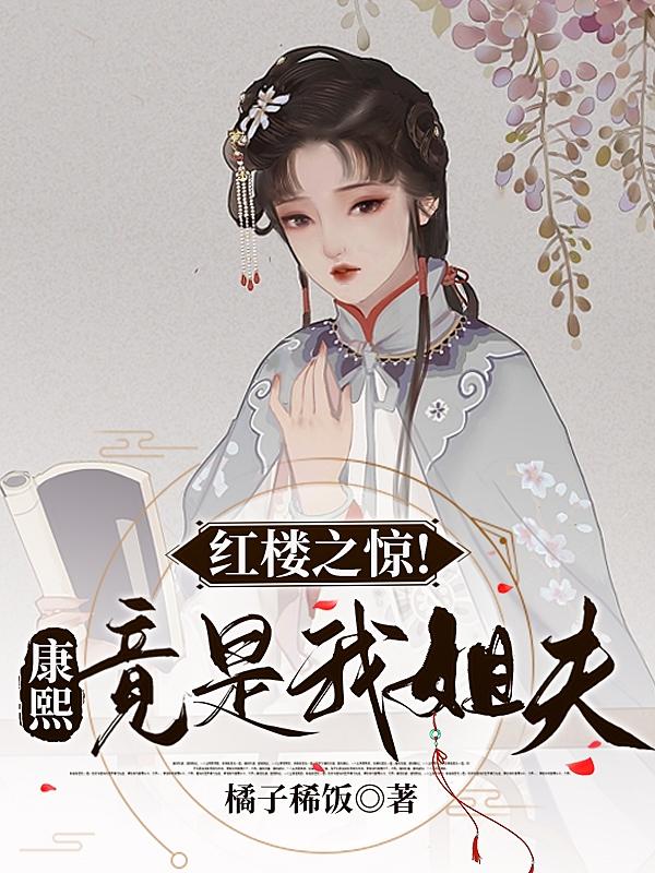 红楼之惊!康熙竟是我姐夫