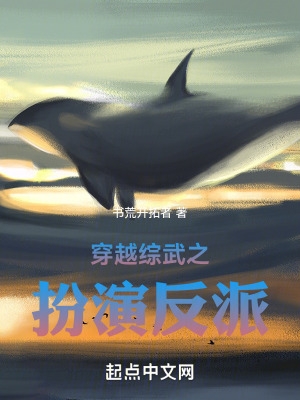 穿越综武之扮演反派