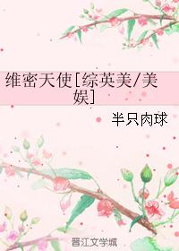 维密天使[综英美/美娱]