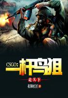 CSGO:一杆鸟狙走天下