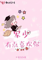 军少,有点喜欢你