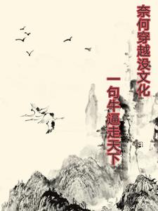 奈何穿越没文化,一句牛逼走天下