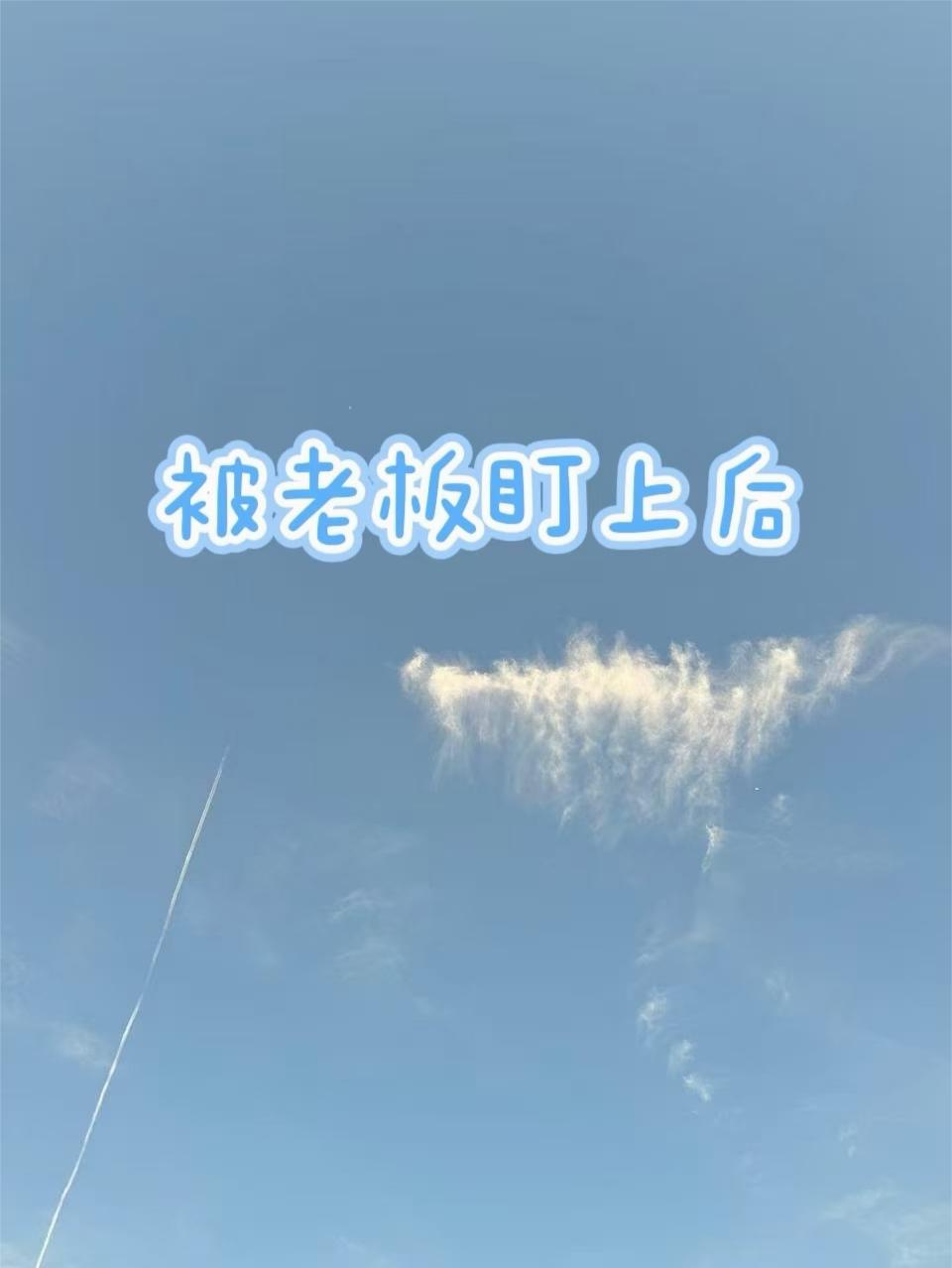 被老板盯上后