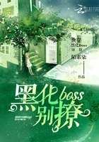 快穿：黑化boss别撩