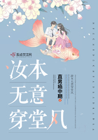 汝本无意穿堂风