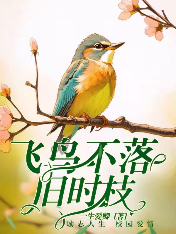 飞鸟不落旧时枝