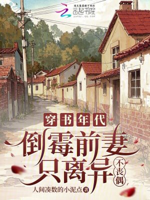 穿书年代,倒霉前妻只离异不丧偶