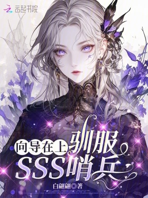 向导在上:驯服SSS哨兵
