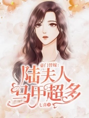 豪门替嫁：陆夫人马甲超多